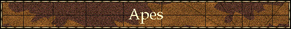 Apes