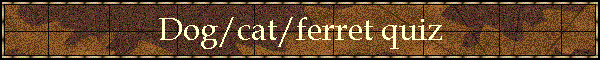 Dog/cat/ferret quiz