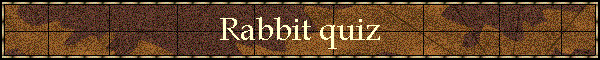 Rabbit quiz