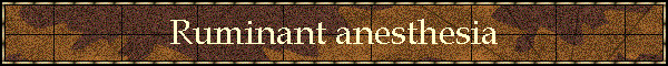 Ruminant anesthesia