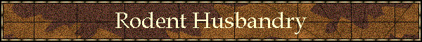 Rodent Husbandry