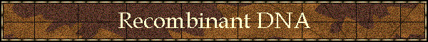 Recombinant DNA